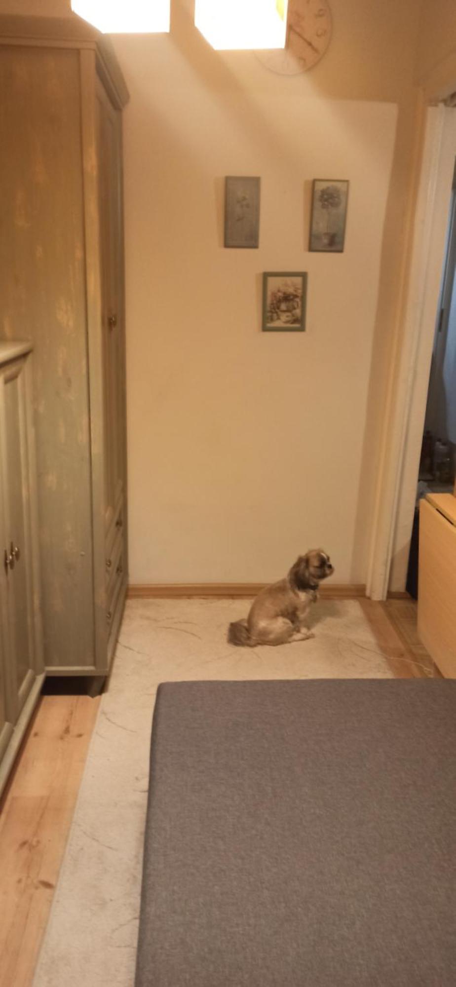Cichy Zakatek Kolobrzeg Appartement Buitenkant foto